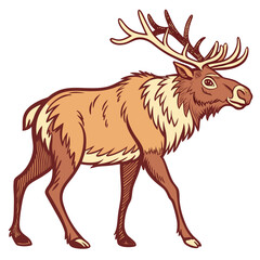 Illustration of a reindeer with large antlers