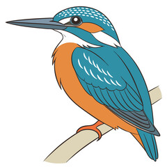 Illustration of a kingfisher bird perched on a branch
