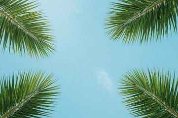 Fototapeta premium Tropical coconuts under bright sunshine with ample room for your design