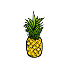 fresh yellow pineapple vector illustration