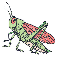 Green grasshopper insect