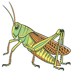 Illustration of a green and orange grasshopper