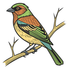 Colorful bird perched on a branch