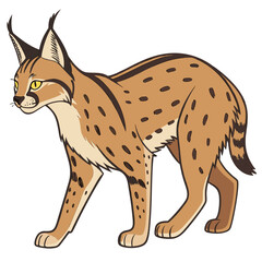 Caracal cat with spotted fur walking