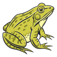 Green frog with yellow spots