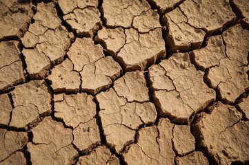 Texture of parched and fractured earth in the heat of a warm season on tropical terrain