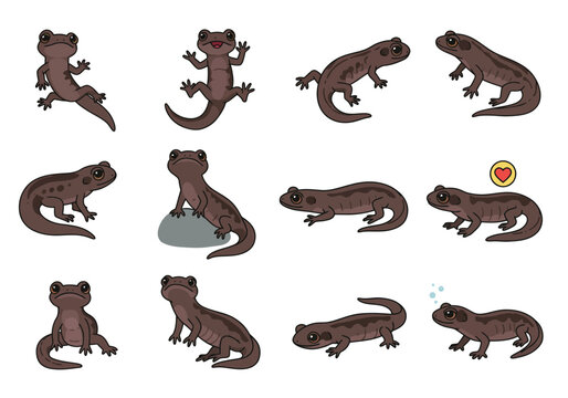 Twelve brown cartoon newts displayed in varied poses and with different expressions