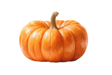 Watercolor halloween ripe pumpkin isolated on transparent background with natural stem