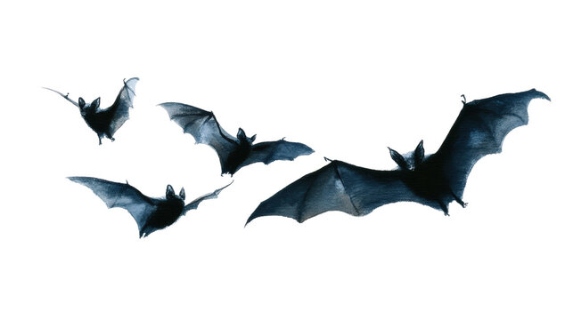 Watercolor halloween three bats flying isolated on transparent background illustration