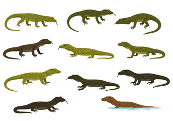 Eleven Komodo dragons in various poses and colors One is partially submerged in water