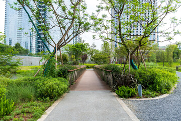 The path to Jiaozi Park in Chengdu, Sichuan Province, China