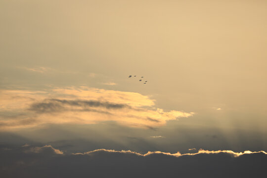 Qatar National Day Celebration Air Show