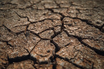 Dried earth fractured during drought period