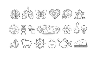 Science, biology, chemistry and medicine icons set. Flat elements of school education with geometric symbols of bio technology, organic cell, dna molekule, animals, brain and heart, vector illustratio