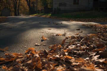 Fallen Autumn Leaves Scattered Alongside The Home