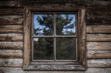 Aged wooden window frame and sill with blurred spruce visible through grimy glass. Concept of vintage homes. Unique perspective. Empty space for text.