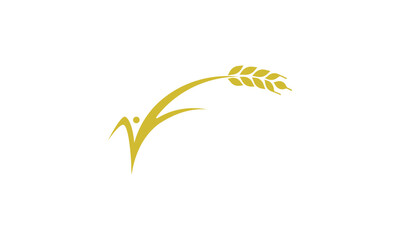 Grain logo, Agriculture logo, restaurant and bakery logo