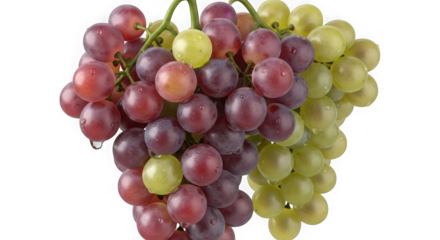 Close-up view of ripe red and green grapes freshly picked and presented as a healthy delicious fruit bunch transparent background