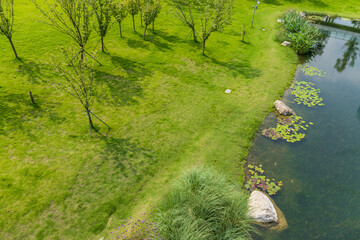 The ecological and green scenery of Jiaozi Park in Chengdu, Sichuan Province, China