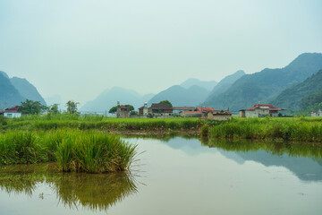Rustic village with rice fields, mountain and pond reflection in countryside