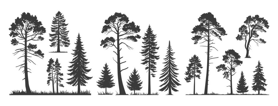 Set of different types of silhouettes