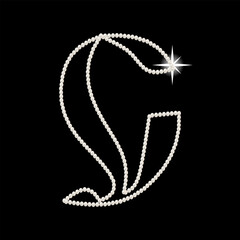 Capital Letters C of English alphabet. luxury and elegant font glamour french style