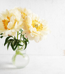 Creamy peonies in vase on white table in morning lights, copy space