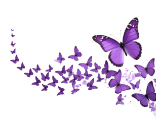 Flock of small purple butterflies with large leading butterfly, isolated on a transparent background, PNG