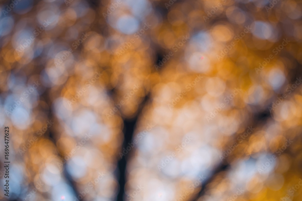 Poster blurred bokeh artistic backdrop with natural elements and light effects