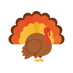 Cartoon turkey with colorful tail feathers in autumn colors, standing on a white background, perfect for Thanksgiving designs.