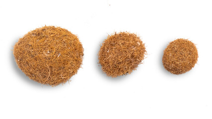 Sea balls or Neptune balls (aegagropila) on white background