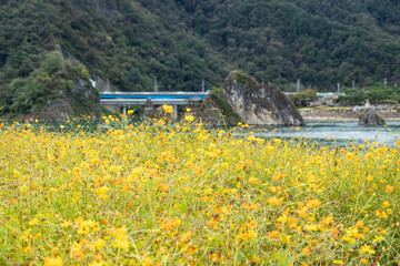 The Famous Dodam Sambong and Namhan River Scenery in Danyang, South Korea
