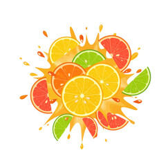 Citrus Explosion Colorful Slices in a Vibrant Splash