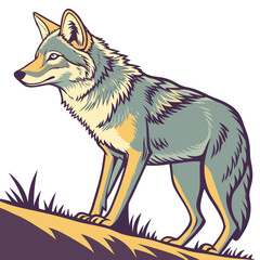 Fototapeta premium Illustration of a coyote standing on a grassy hill