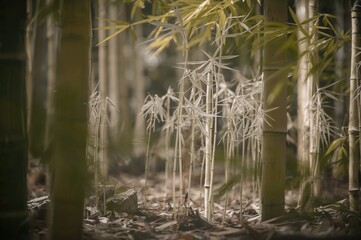Fresh bamboo sprouts against a white background