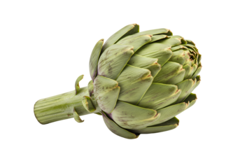 Fresh Artichoke Vegetable: Close-up of a Single Artichoke isolated on transparent background