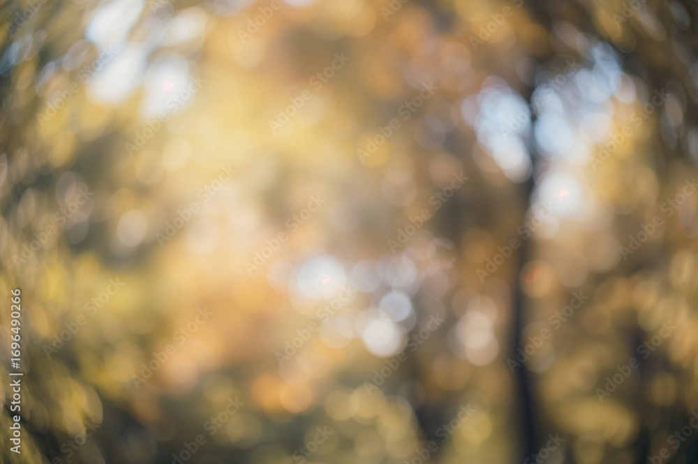 Poster vivid bokeh effect in a natural shaded setting