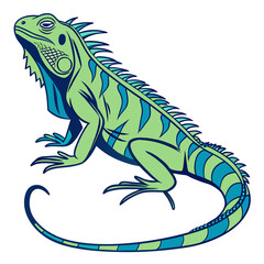 Obraz premium Green iguana reptile