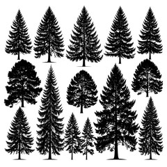 Collection of various tree silhouettes against a plain background.