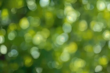 Obraz premium Out-of-focus natural scenery