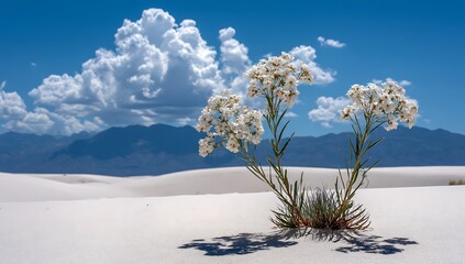 White Sand Dunes Under Blue Sky with Sparse Green Desert Shrubbery and Textured Sand Ripples