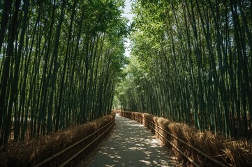 Fototapeta premium Bamboo pathway leading to a summer garden retreat in a lush green park