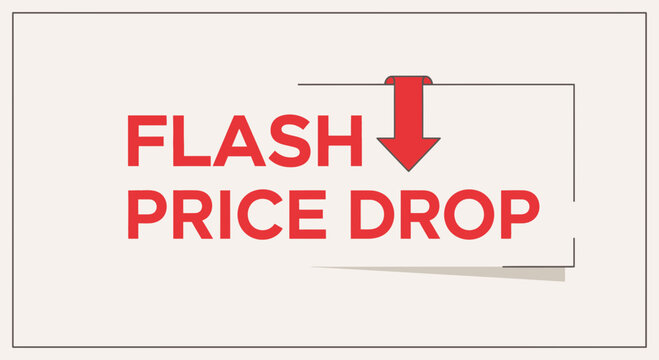 Bold Announcement of Limited Time Flash Sale with Price Reductions and Eye-Catching Design to Draw
