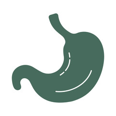 Minimalist Human Stomach Icon for Anatomy and Gastroenterology