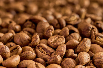 浅煎りのコーヒー豆の背景用素材