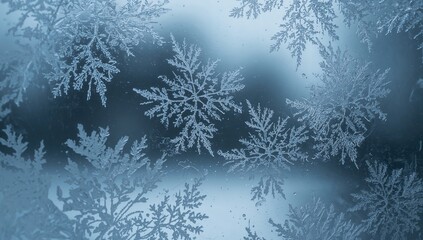 Obraz premium Window adorned with icy designs on chilly mornings