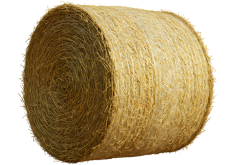 Textured Gold Cylinder Abstract Metallic Form isolated on transparent background