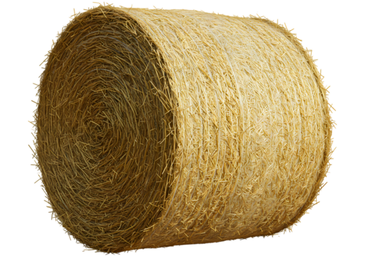 Textured Gold Cylinder Abstract Metallic Form isolated on transparent background