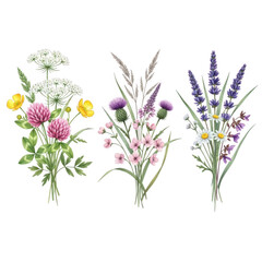 Obraz premium Watercolor wildflower bouquets isolated on transparent background