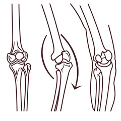 Outline vector icons of human joints knee elbow and shoulder